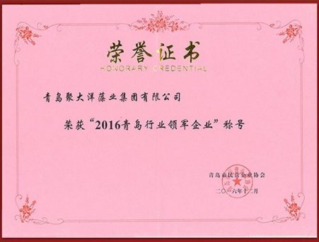 行業(yè)領(lǐng)軍企業(yè)