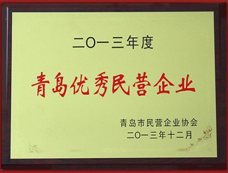 青島優(yōu)秀民營企業(yè)