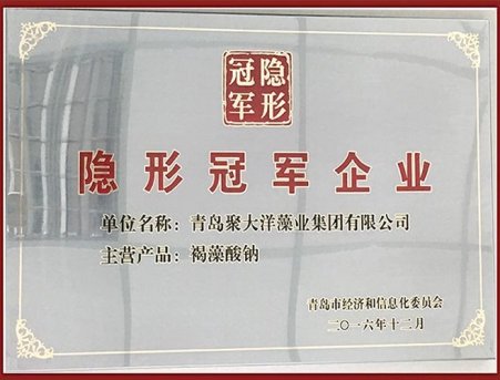 隱形冠軍企業(yè)